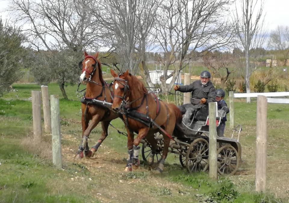 Resultados 1ª Fase del Campeonato Navarro de Enganches 2018 en el Club Deportivo Enganches Finca "La Pinturita"